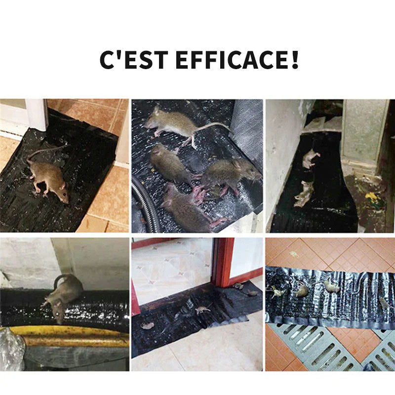 Tapis piège à souris collante : 1m20 sur 28Cm ( 3 articles )